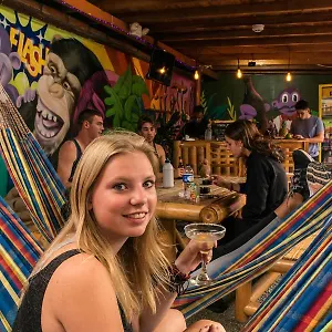 Purple Monkey Hostal Medellín